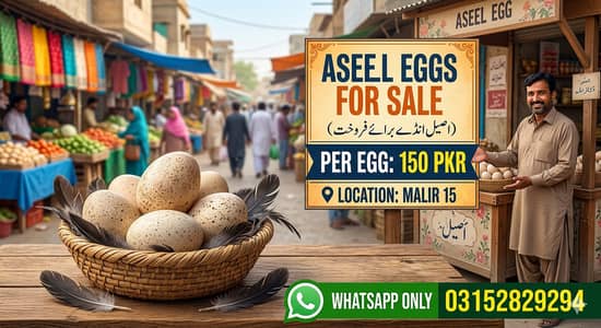 Aseel or heera mixed eggs sale aseel rate 150 per egg