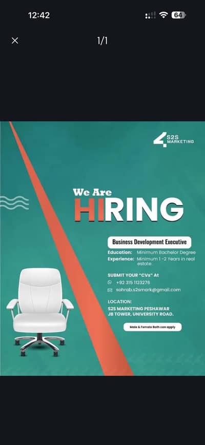 Business development Executives