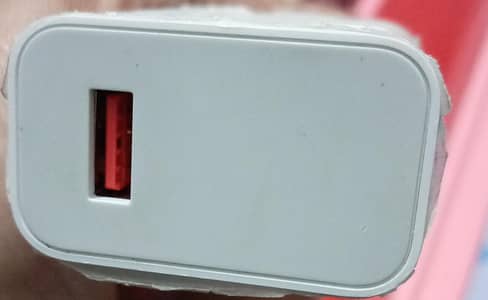 redmi 33W charger