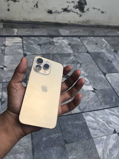 13 pro 256 Factory unlock Golden 10 10 Condition