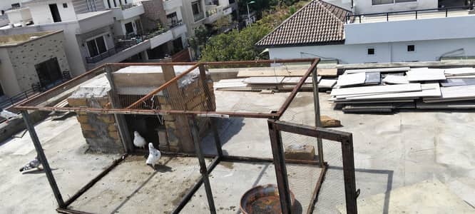 cage Whatsapp 03/08/54/200/20