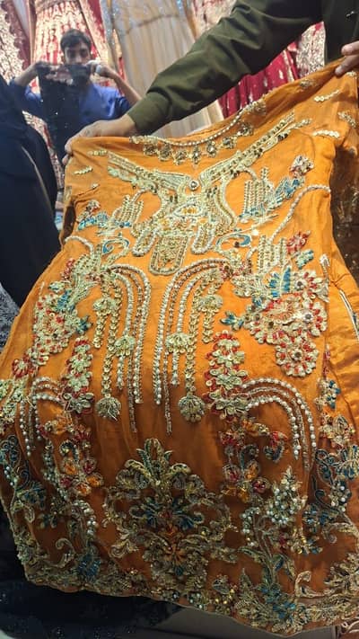 Dress pess & maintain