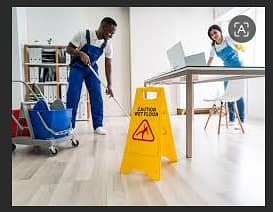 cleaning  and dusting  job