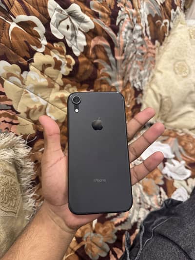 Price could be little bit bargained