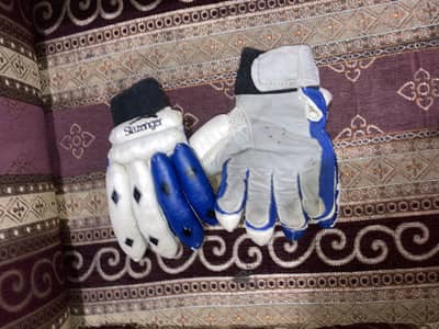 Cricket kit and new balance bat