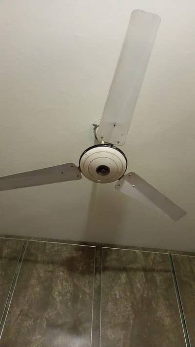 ceiling fan / chat wala pankha