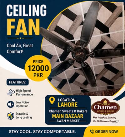 Premium 5-Blade Decorative Ceiling Fan – Excellent Condition