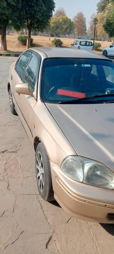 Bonnet, Fender, Nose cut