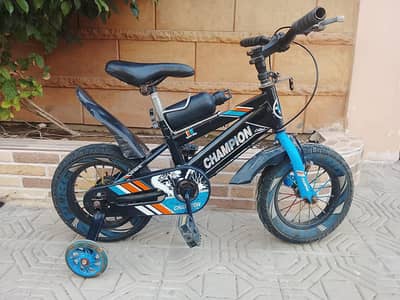 CHAMPION Imported Cycle - 12 size - 0320/2257/271