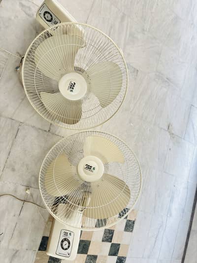 Pak Fans wall fans