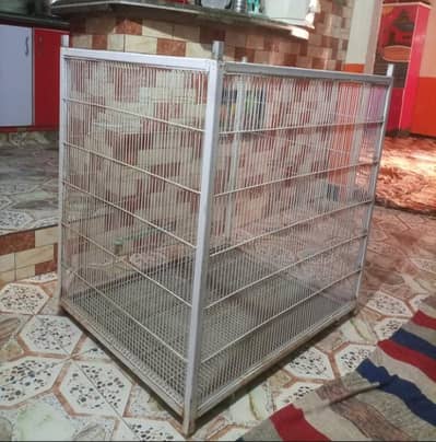 Birds Cage Sale