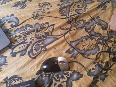 HP mouse smooth in use and very efficient