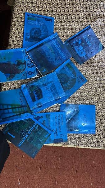 opf grade 6 full set