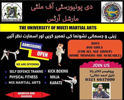 Professional Martial Arts Training – Build Strength & Discipline