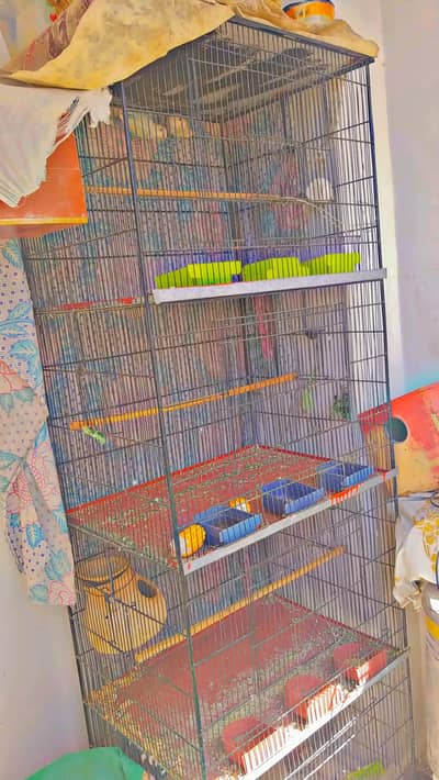 Parrot cage 4 portion