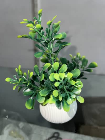 Artificial mini plants