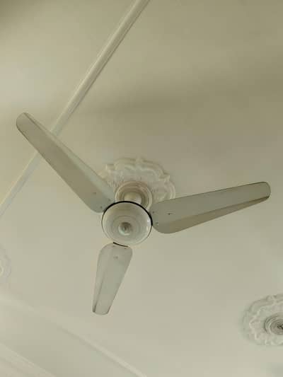 11 SK Fans for Sale Urgent in Islamabad