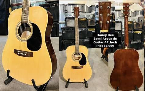 Honey Bee Semi acoustic solid body guitar / Piano /Keyboard / Amplfier