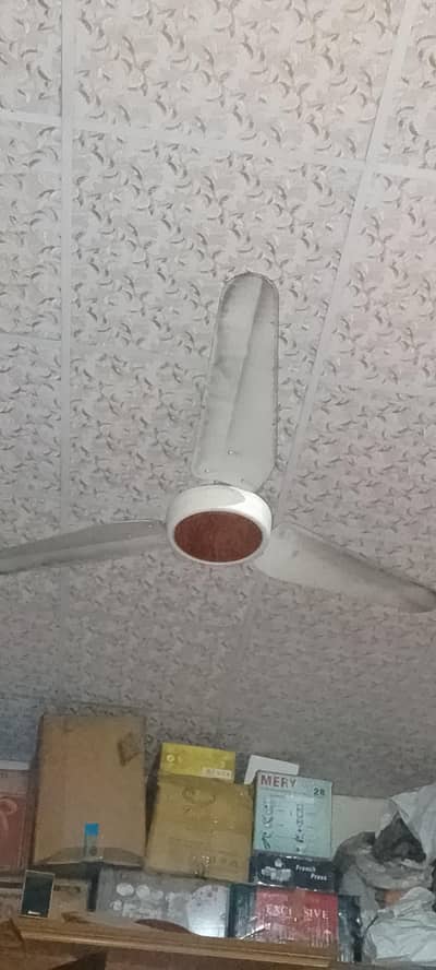 ceiling fan working condition Mai