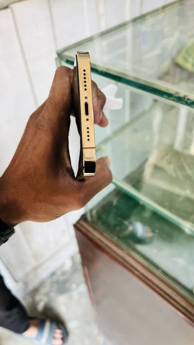 Iphone 13 pro max 256 gb jv