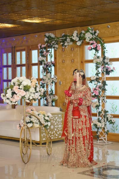 Heavy Anari Red Bridal Dress for Sale – Used Once, Excellent Condition