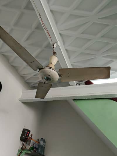 Pure copper motor fan