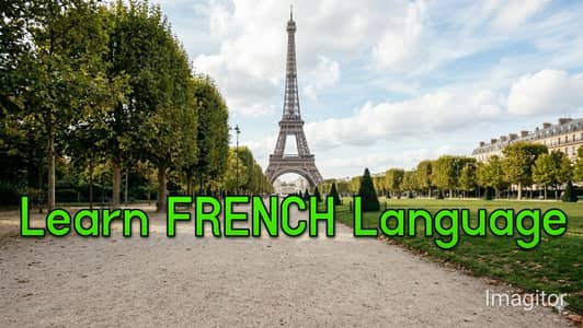 Learn French Language