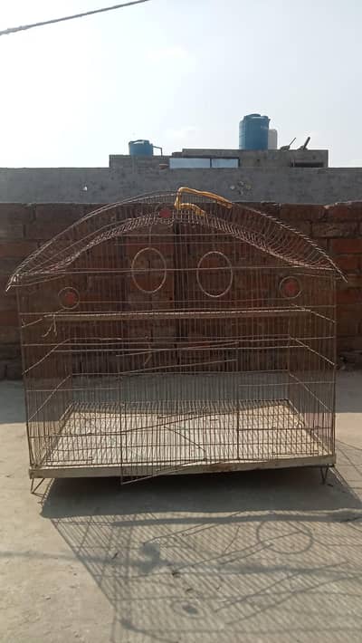 Steel Hen/Parrot Cage for Sale