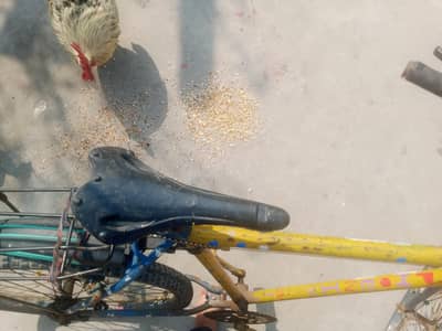 Cycle for Sale | Call 03207858465