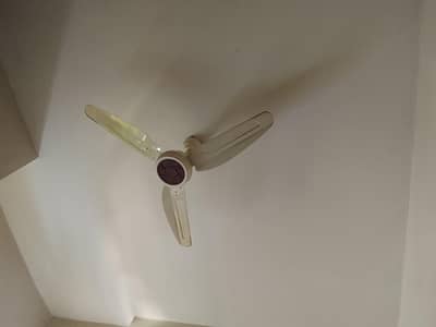 celling fan for sale