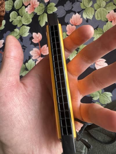 Harmonica