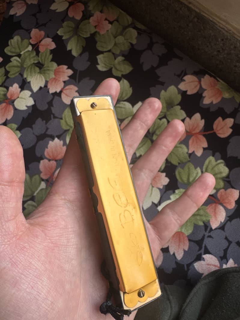 Harmonica 1