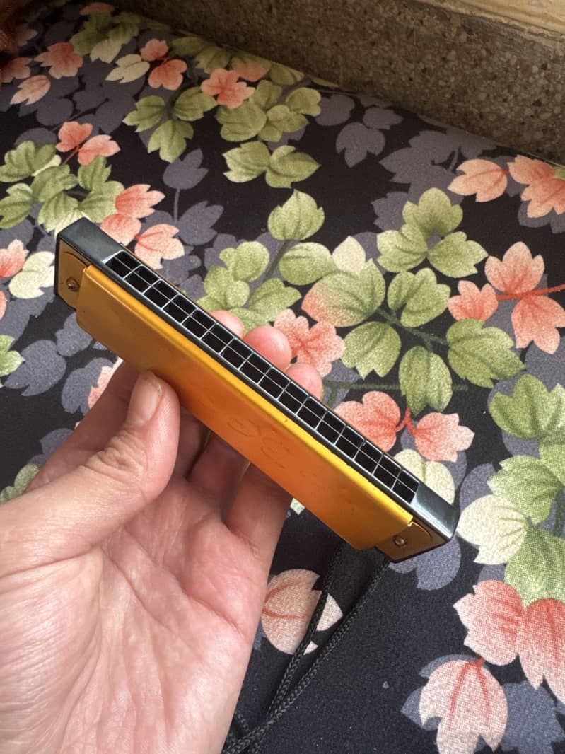 Harmonica 3