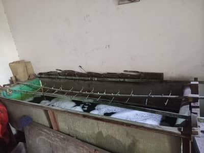 Nickle plant urgent  sale