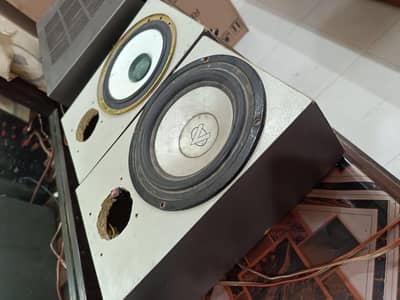 1 auduonic speaker and one pioneer speaker (6 inch)