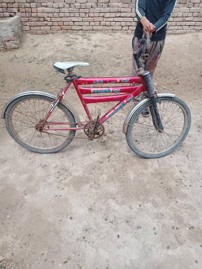 achi condition ma ha