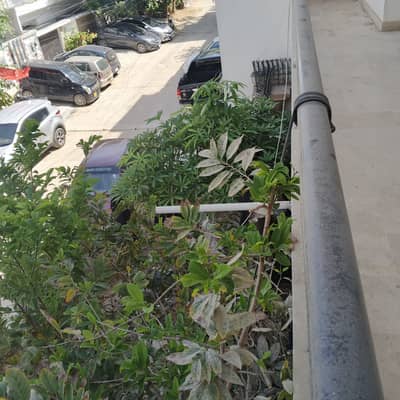 3 BED DD PORTION AVAILABLE FOR RENT