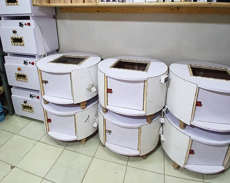 Automatic brooder Chicks Brooding Machine Brooder 50 Chicks 2