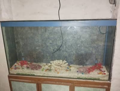 Fish equarium whatsapp number 03004593899