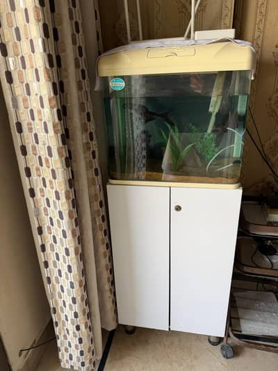 Aquarium with cabinet stand