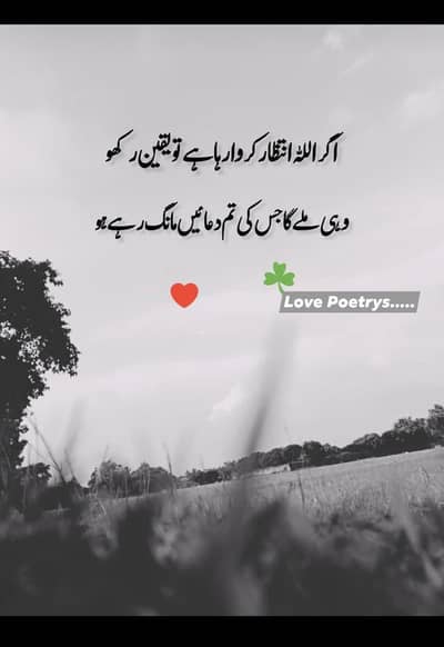 I need car driving job