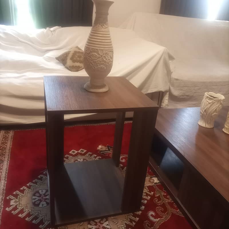 Table Sett Coffee Table+ Center Table 1