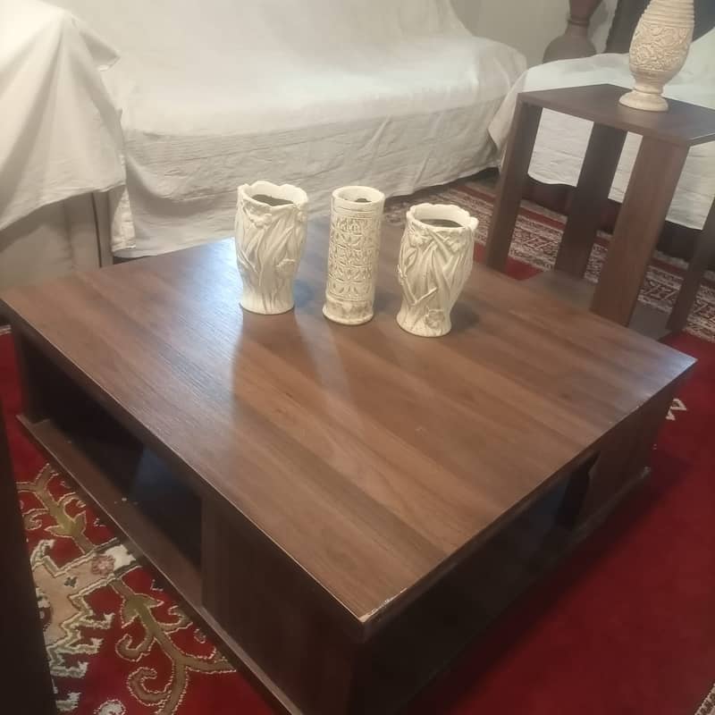 Table Sett Coffee Table+ Center Table 2