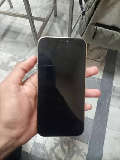 iphone 12 pro max pta approved