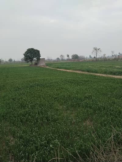 25 Acre For Urgent Sale. On Inverter Rate.