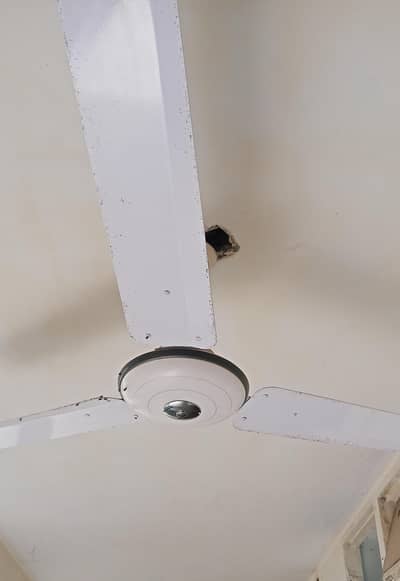 brand new 3fans for sale just used 6 month.