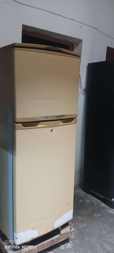 waves fridge large size