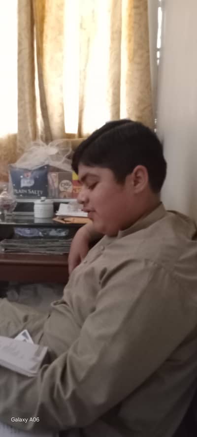 bull for sale qurbani 2026