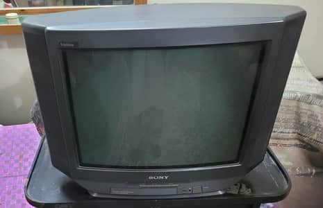 Television