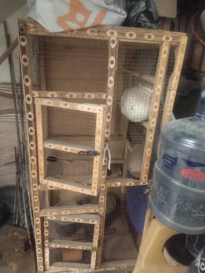 parrot and birds cages
